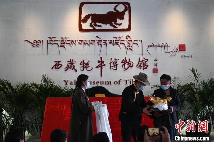 5月17日，各界人士向西藏牦牛博物馆捐赠藏品。　何蓬磊 摄
