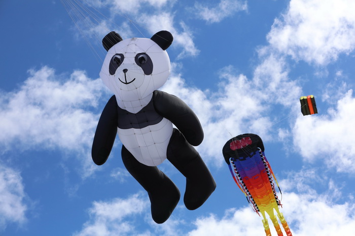 新国学网:中国风筝首次亮相新西兰第七届奥塔