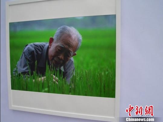 中国科协第四届科技摄影展开幕百余幅作品参展